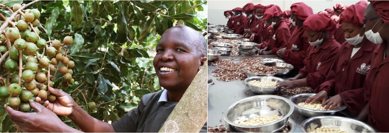 Fair Trade pomáha k svojpomoci